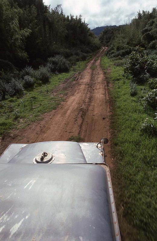 WT 1400 213-04 Kenya.jpg